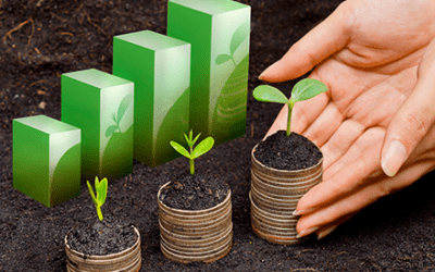 Contabilidad de la Gestión Ambiental bajo la Norma ISO 14051