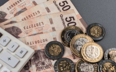 ¿Qué debo saber acerca del Reparto de Utilidades 2019?